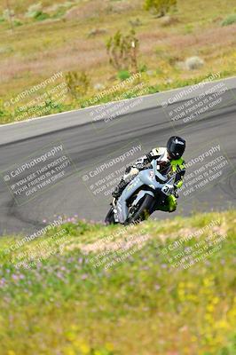 media/Apr-13-2024-Classic Track Day (Sat) [[9dd147332a]]/Group 3/Session 2 (Turns 5 and 6)/